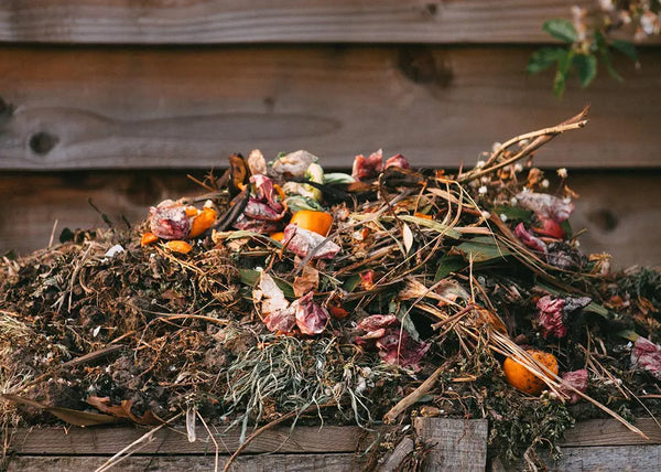 What Can Go In Your Compost Bin - Tips To Help Your Garden & Keep Pests Away