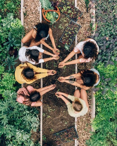 How to Start Making Sustainable Choices: A Beginner’s Guide