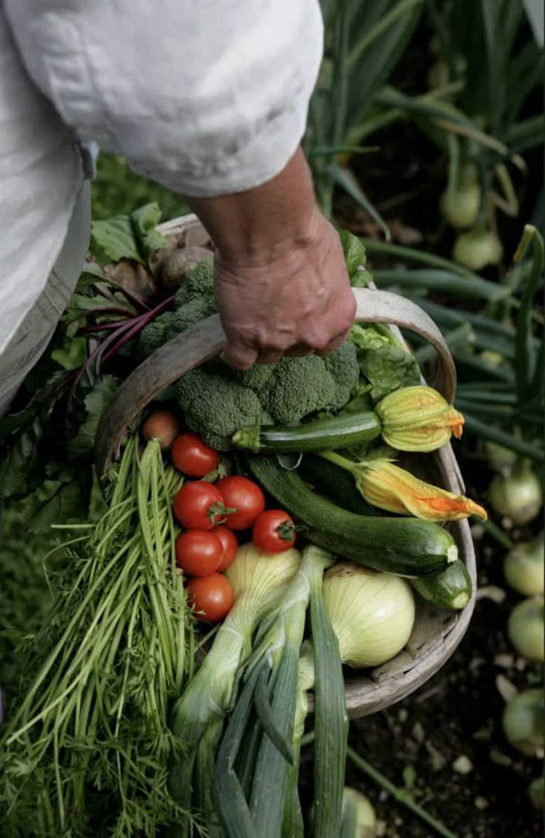 How to Start a Sustainable Garden This Spring