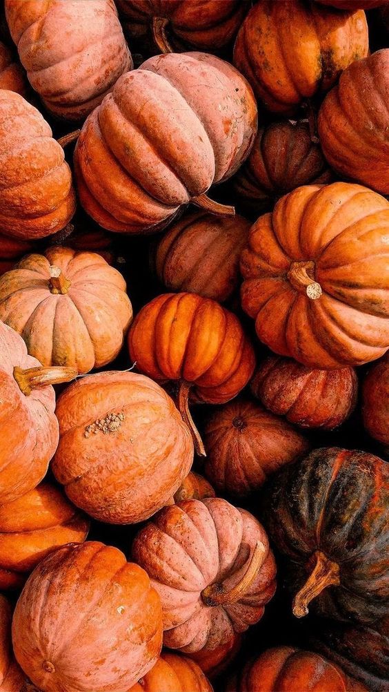 How to Reuse Your Pumpkins This October: Creative and Sustainable Ideas for Fall